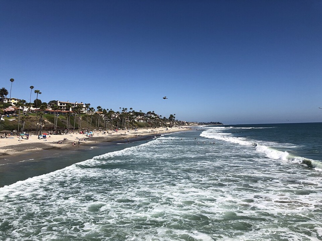 San Clemente State Beach on a clear day, palms and hillside homes along the shore